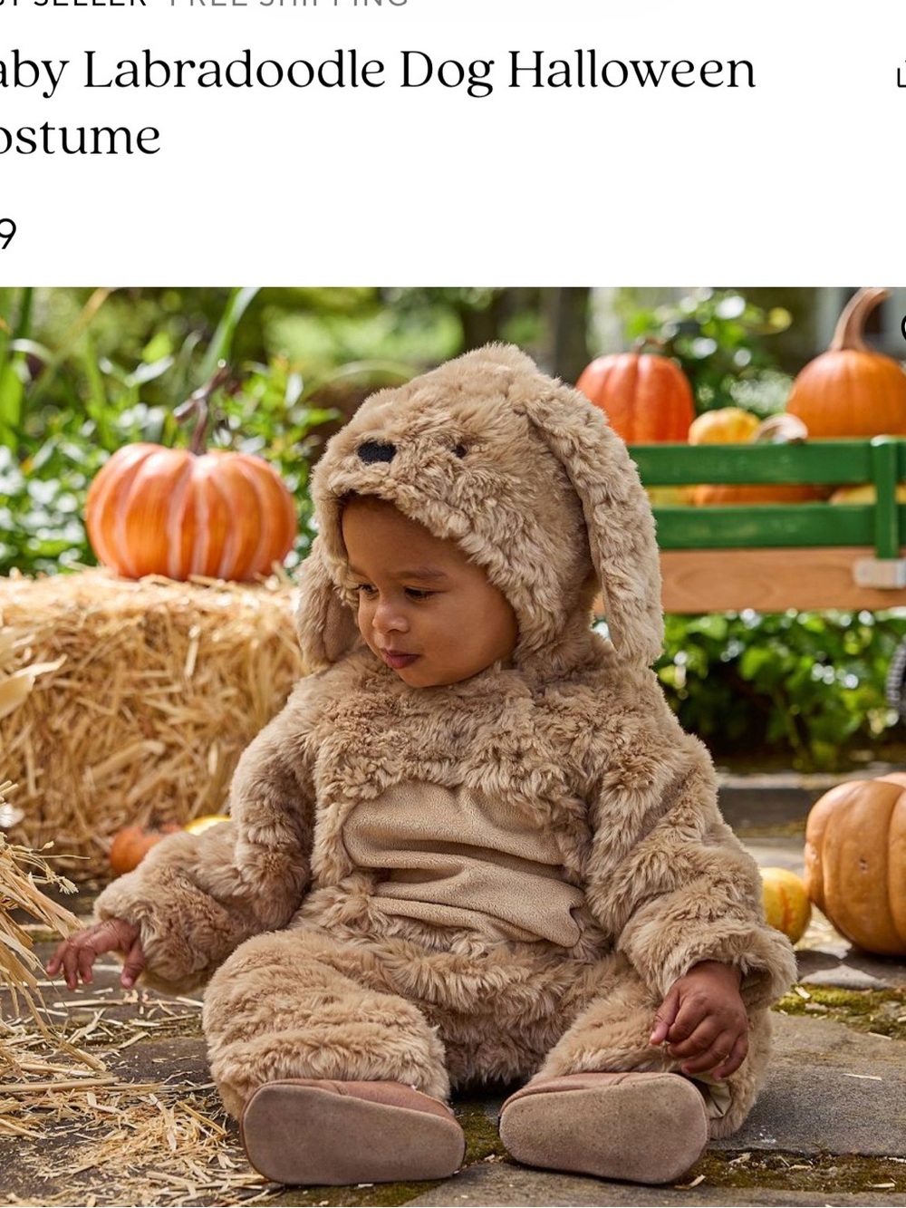 Pottery Barn Kids Plush Labradoodle Costume in Tan